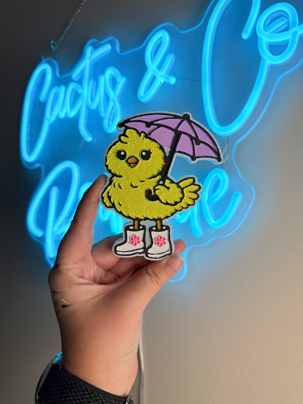 Rainy Chicken Freshie