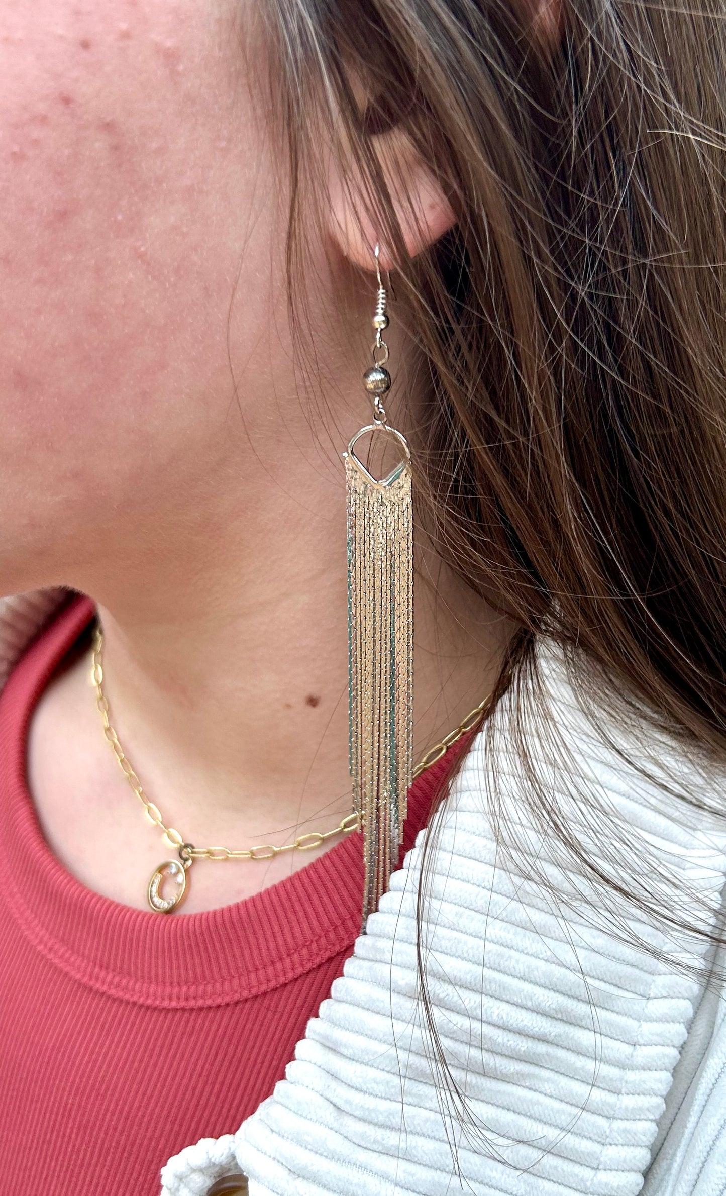 The Chic Dangle Earrings