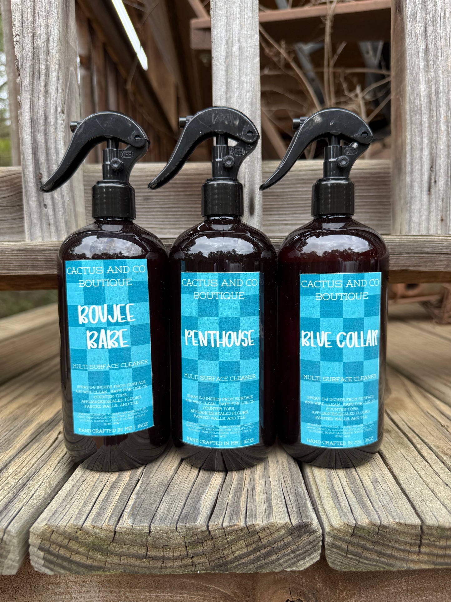 Multi surface Cleaner