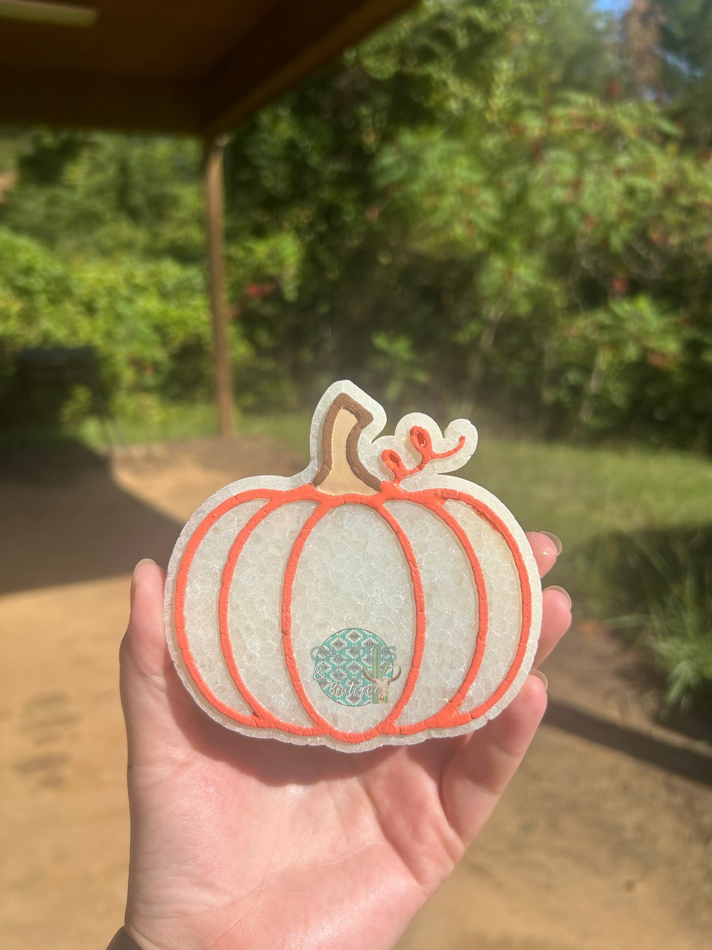Pumpkin Freshie
