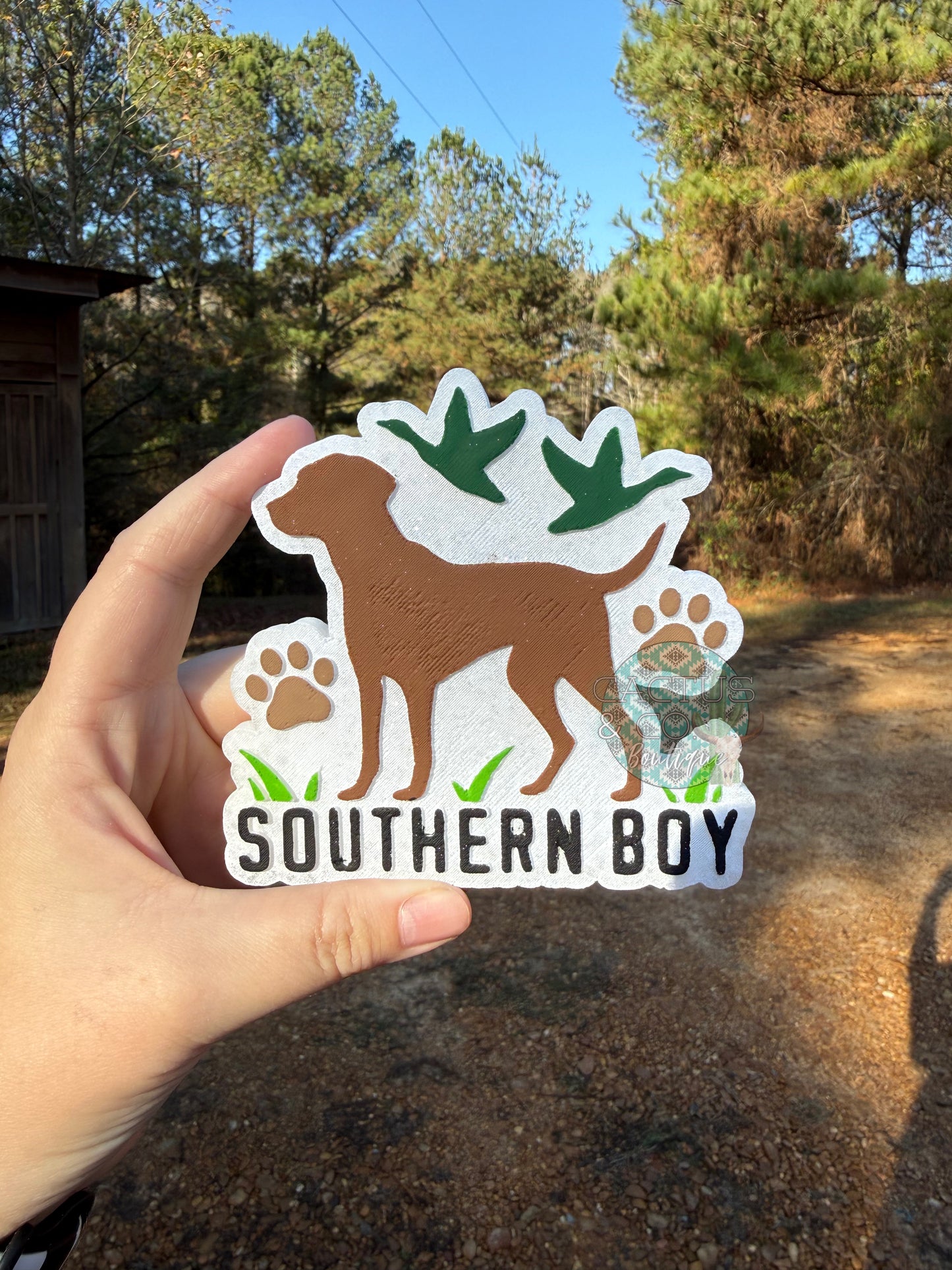 Southern Boy