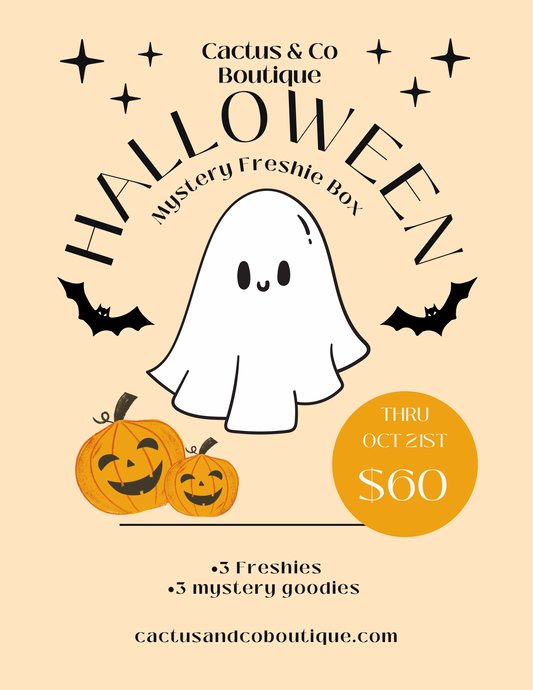 Halloween Mystery Freshie Box