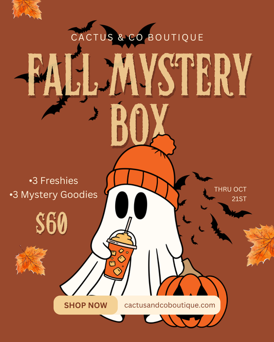 Fall Mystery Freshie Box